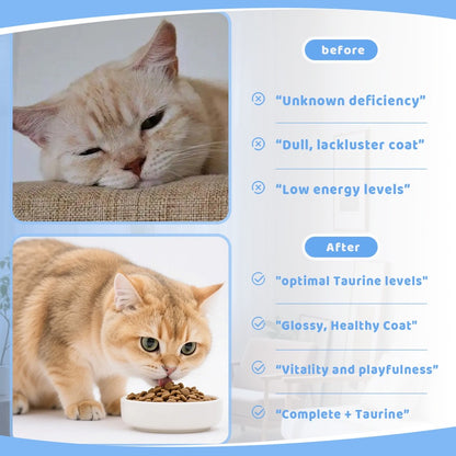 Felora™ Taurine Supplement